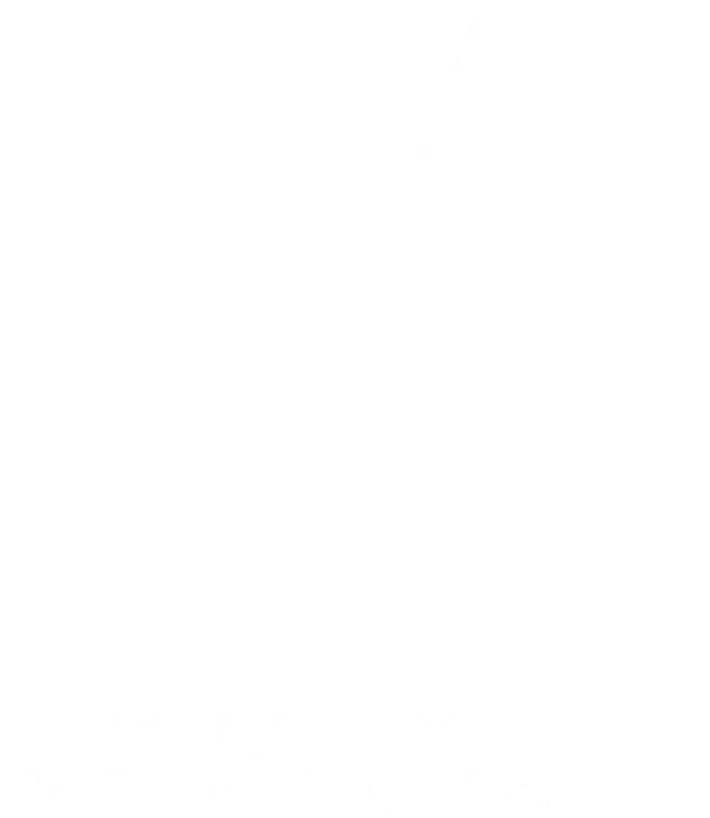 M LINE — Luxury Limousine & Chauffeur Service